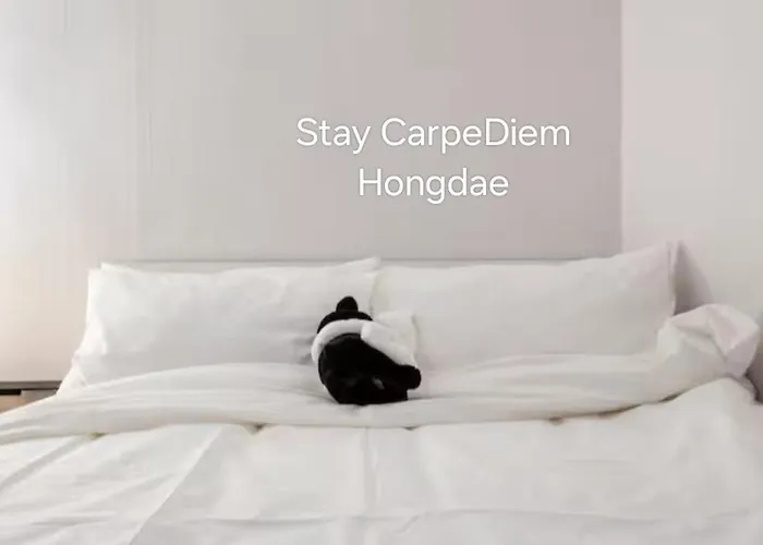 Carpediem Hongdae By Hafhaus 서울특별시